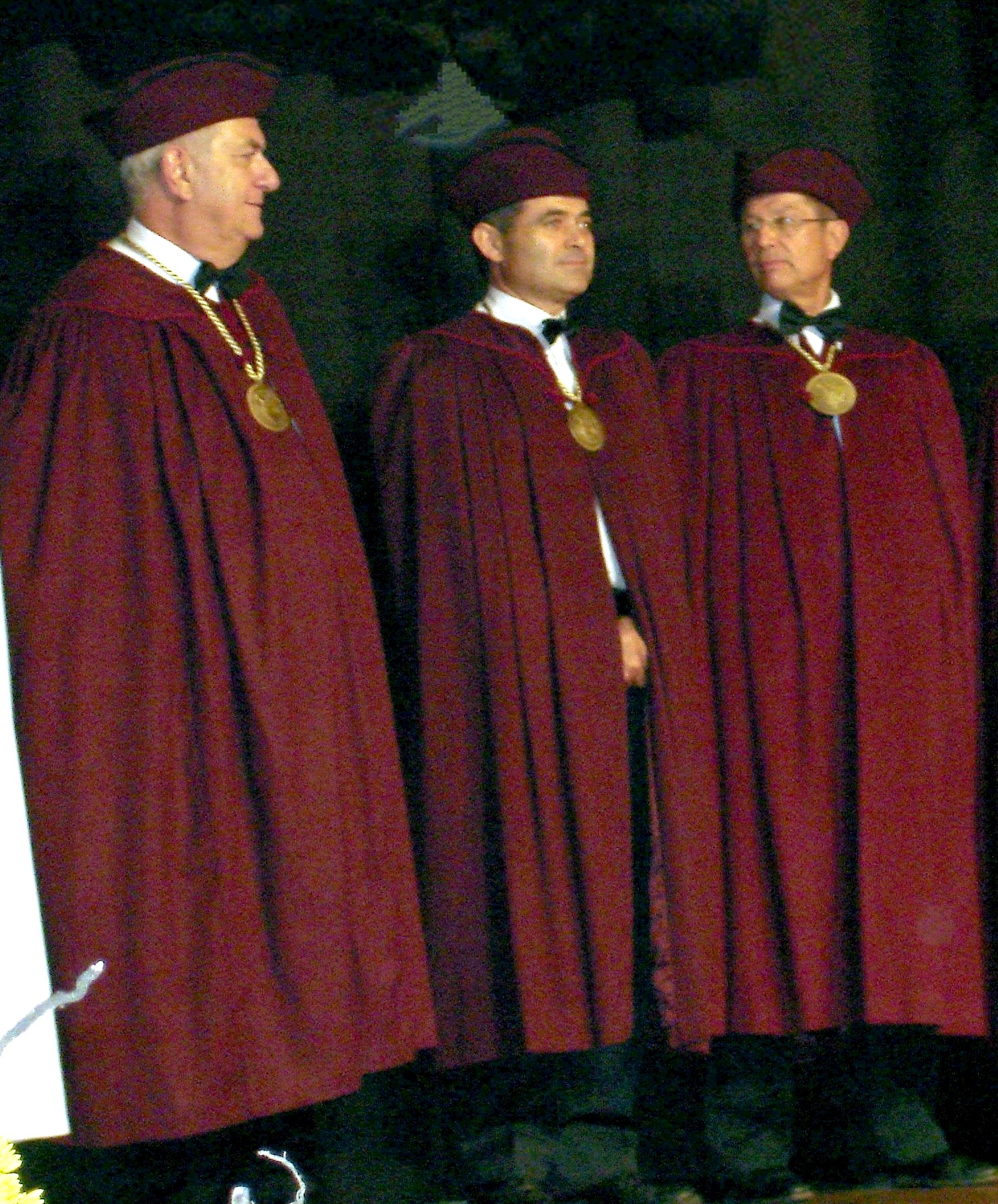 Costume de cérémonie du Grand Conseil